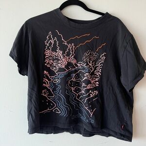 Levi’s boxy graphic tee, women’s size large